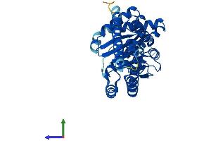 AlphaFold protein structure predicition of Mouse Recombinant Dhdds Protein, UniprotID Q99KU1