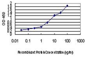 Detection limit for recombinant GST tagged FAAH is approximately 0. (FAAH antibody  (AA 480-579))