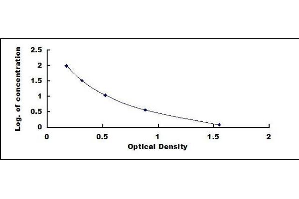IgG ELISA Kit