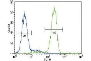 PPARG antibody flow cytometric analysis of HepG2 cells (green) compared to a negative control (blue). (PPARG antibody  (AA 1-30))
