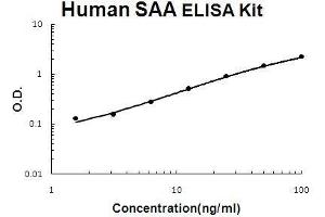 Human SAA/SAA1 PicoKine ELISA Kit standard curve (SAA1 ELISA Kit)