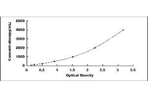 Typical standard curve (BMP7 ELISA Kit)