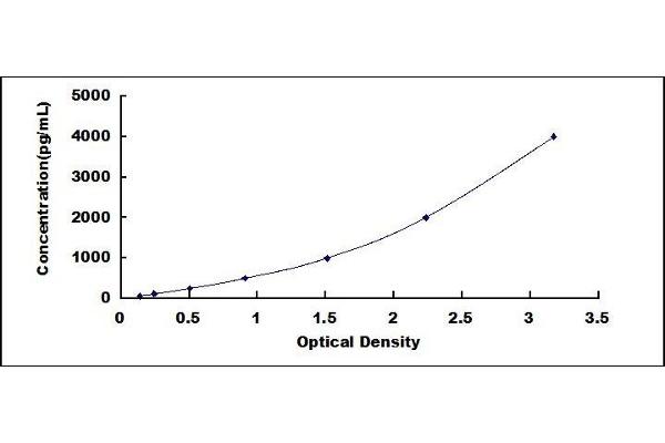 BMP7 ELISA Kit