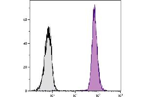 SJL mouse splenocytes were stained with Mouse Anti-Mouse CD45. (CD45.1 antibody  (PE-Cy5.5))