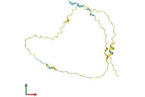 AlphaFold protein structure predicition of Human Recombinant VCX2 Protein, UniprotID Q9H322 (VCX2 Protein (AA 1-139) (His tag))