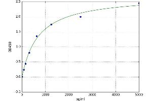 Beclin 1, Autophagy Related (BECN1) ELISA Kit
