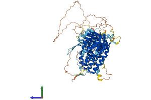AlphaFold protein structure predicition of Human Recombinant BBS12 Protein, UniprotID Q6ZW61