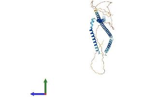 AlphaFold protein structure predicition of Human Recombinant WTAP Protein, UniprotID Q15007 (WTAP Protein (AA 1-396) (His tag))