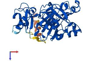 Fumarylacetoacetate Hydrolase Domain Containing 2B (FAHD2B) (AA 1-314) protein (His tag)