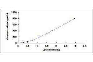 Typical standard curve (DPP4 ELISA Kit)