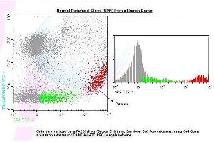 Image no. 1 for anti-CD9 (CD9) antibody (FITC) (ABIN1112243) (CD9 antibody  (FITC))