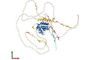 AlphaFold protein structure predicition of Human Recombinant TRAF3IP2 Protein, UniprotID O43734 (TRAF3IP2 Protein (AA 1-574) (His tag))