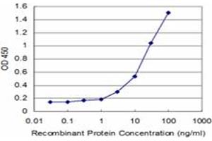 Detection limit for recombinant GST tagged SMAD7 is approximately 1ng/ml as a capture antibody. (SMAD7 antibody  (AA 160-260))