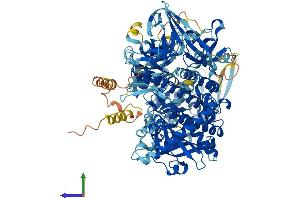 AlphaFold protein structure predicition of Mouse Recombinant Dis3l Protein, UniprotID Q8C0S1