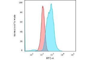 Flow Cytometric Analysis of PFA-fixed K562 cells using Calponin-1 Recombinant Mouse Monoclonal Antibody (rCNN1/832) followed by Goat anti-Mouse IgG-CF488 (Blue); Isotype Control (Red). (Recombinant CNN1 antibody)