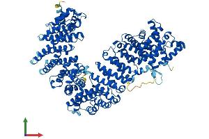 Protein Structure (PS) image for Importin 11 (IPO11) (AA 1-975) protein (His tag) (ABIN7564640)