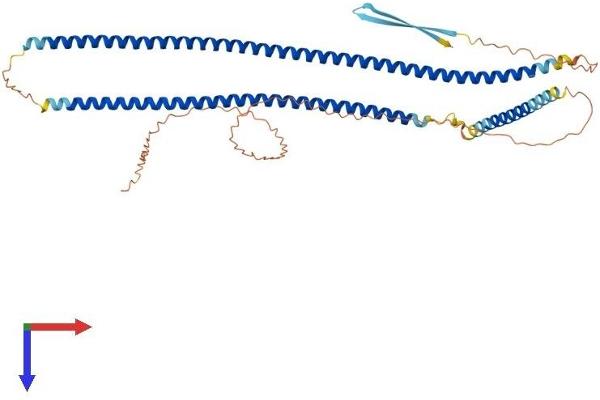 KRT12 Protein (AA 1-494) (His tag)