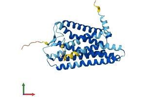 AlphaFold protein structure predicition of Human Recombinant OR7G3 Protein, UniprotID Q8NG95 (Olfactory Receptor, Family 7, Subfamily G, Member 3 (OR7G3) (AA 1-312) protein (His tag))