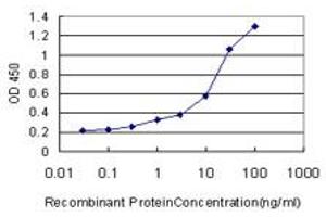 Detection limit for recombinant GST tagged AKR1C2 is approximately 0. (AKR1C2 antibody  (AA 224-323))