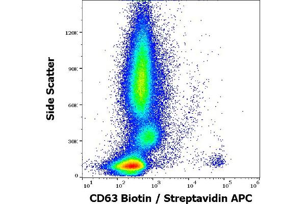 CD63 anticorps  (Biotin)