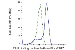 Validation of RAN binding protein 9 knockdown using flow cytometry.