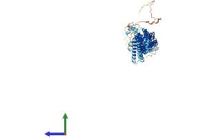 AlphaFold protein structure predicition of Human Recombinant COG8 Protein, UniprotID Q96MW5