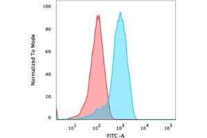 CD47 antibody