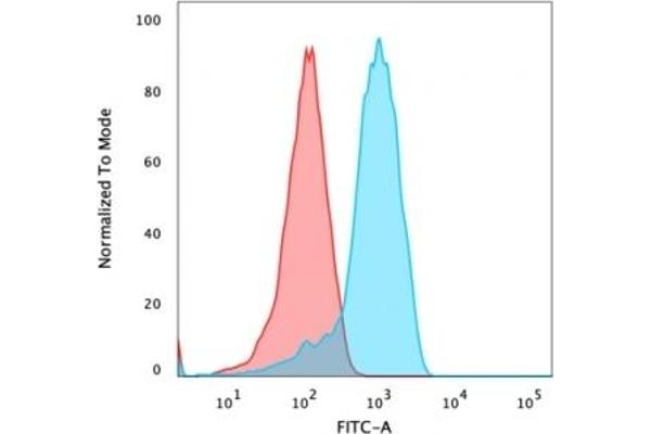 CD47 antibody