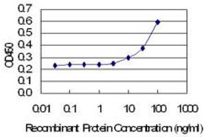 Detection limit for recombinant GST tagged PPID is 3 ng/ml as a capture antibody. (PPID antibody  (AA 1-370))