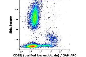 LILRB1 antibody