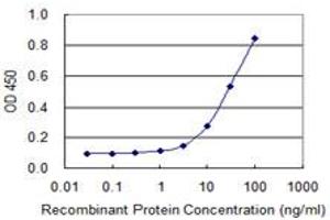 Detection limit for recombinant GST tagged EIF2S3 is 1 ng/ml as a capture antibody. (EIF2S3 antibody  (AA 383-472))