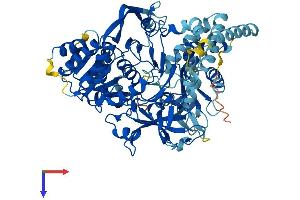 Acsl3 Protein (AA 1-720) (His tag)