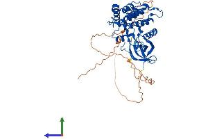 AlphaFold protein structure predicition of Human Recombinant CSNK1G3 Protein, UniprotID Q9Y6M4 (CSNK1G3 Protein (AA 1-447) (His tag))