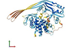 Protein Structure (PS) image for Gasdermin D (GSDMD) (AA 1-487) protein (His tag) (ABIN7561134)