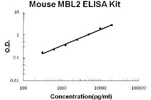 Mouse MBL2 PicoKine ELISA Kit standard curve