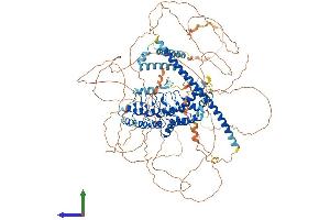 AlphaFold protein structure predicition of Mouse Recombinant Kank4 Protein, UniprotID Q6P9J5 (KANK4 Protein (AA 1-1016) (His tag))