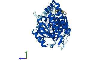 AlphaFold protein structure predicition of Human Recombinant MVK Protein, UniprotID Q03426 (MVK Protein (AA 1-396) (His tag))