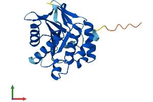 AlphaFold protein structure predicition of Human Recombinant EMC9 Protein, UniprotID Q9Y3B6 (EMC9 Protein (AA 1-208) (His tag))