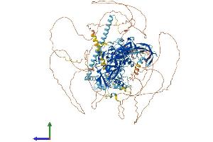 AlphaFold protein structure predicition of Mouse Recombinant Setdb1 Protein, UniprotID O88974 (SETDB1 Protein (AA 1-1307) (His tag))