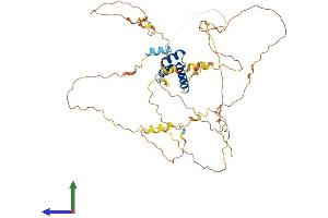 Protein Structure (PS) image for Iroquois Homeobox Protein 4 (IRX4) (AA 1-515) protein (His tag) (ABIN7561779)