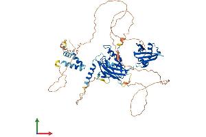 AlphaFold protein structure predicition of Mouse Recombinant Grhl2 Protein, UniprotID Q8K5C0 (GRHL2 Protein (AA 1-625) (His tag))
