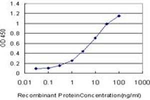 Detection limit for recombinant GST tagged POLR1C is approximately 0. (POLR1C antibody  (AA 1-346))