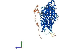 Protein Structure (PS) image for Actin-Like 7A (ACTL7A) (AA 1-440) protein (His tag) (ABIN7561782)