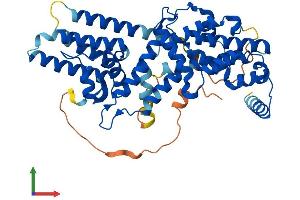 Protein Structure (PS) image for RasGEF Domain Family, Member 1A (RASGEF1A) (AA 1-481) protein (His tag) (ABIN7551394)