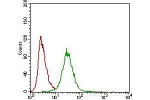 Flow cytometric analysis of Hela cells using ZEB1 mouse mAb (green) and negative control (red). (ZEB1 antibody  (AA 967-1108))