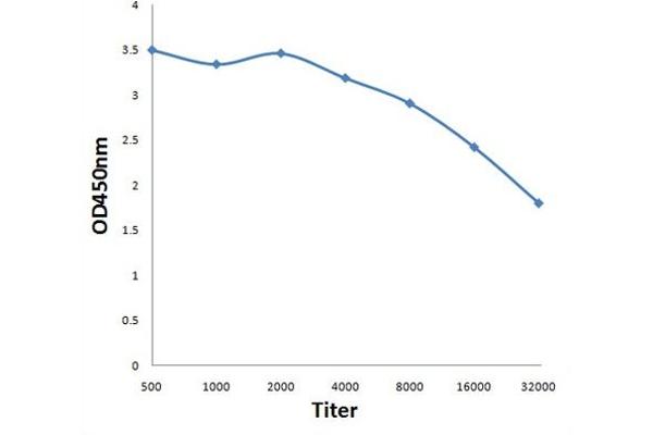 PRDM2 antibody  (AA 1201-1300)