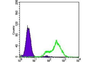 Flow cytometric analysis of LOVO cells using FABP2 mouse mAb (green) and negative control (purple). (FABP2 antibody)