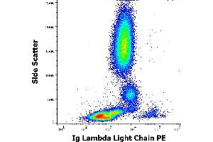 Flow cytometry surface staining pattern of human peripheral whole blood stained using anti-human Ig Lambda Light Chain (1-155-2) PE antibody (10 μL reagent / 100 μL of peripheral whole blood). (Lambda-IgLC antibody  (PE))