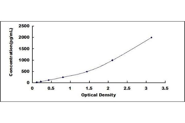 Fibromodulin ELISA Kit