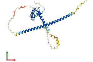 Protein Structure (PS) image for Myb/SANT-Like DNA-Binding Domain Containing 3 (MSANTD3) (AA 1-275) protein (His tag) (ABIN7560618)